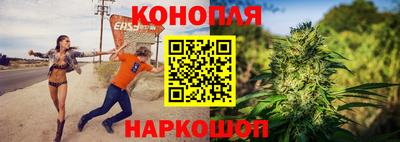 сатива Краснознаменск
