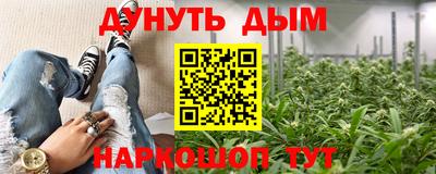 хмурый Краснодар