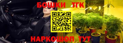 сатива Краснознаменск