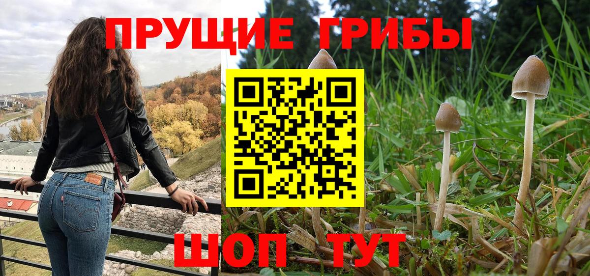 Галлюциногенные грибы Cubensis Кимовск